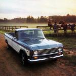 International Bonus Load Pickup 1975 года